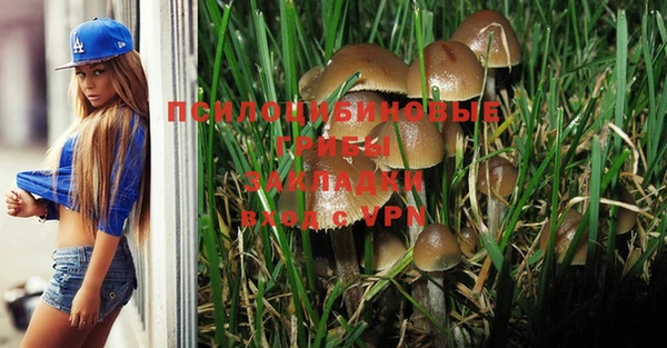 дживик Балабаново