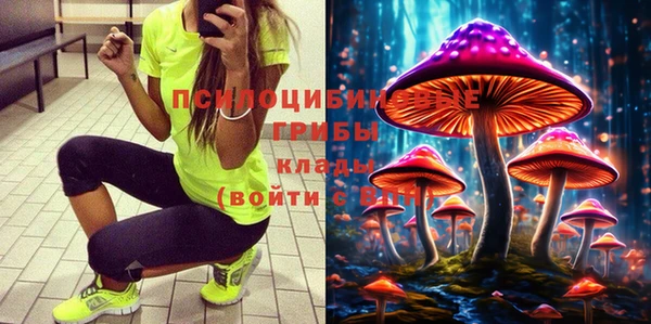крисы Балахна