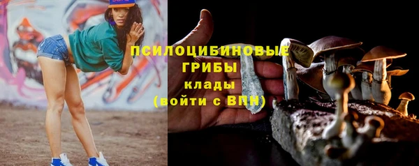 дживик Балабаново