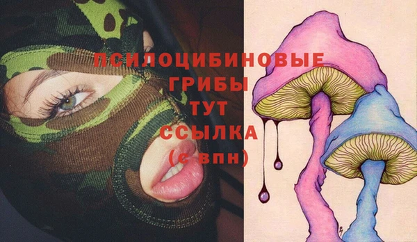 крисы Балахна