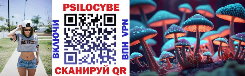 Галлюциногенные грибы Magic Shrooms Заречный