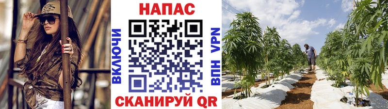 Конопля OG Kush  Заречный 